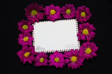 purple daisies and white card with a place for a congratulatory text on a black background