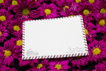 purple daisies and white card with a place for a congratulatory text on a black background