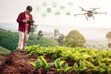 Smart farmer using technology control agriculture drone farming fly to spray fertilizer or...