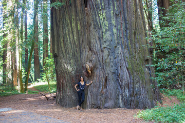 Woman with huge mammoth trees