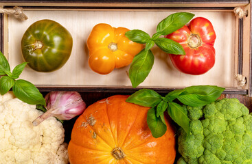Top view harvest of different fresh farm vegetables close up. View above. Advertising healthy natural food. Vegetable harvest.