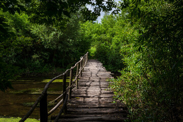 Old wooden bridge over the river in the forest.