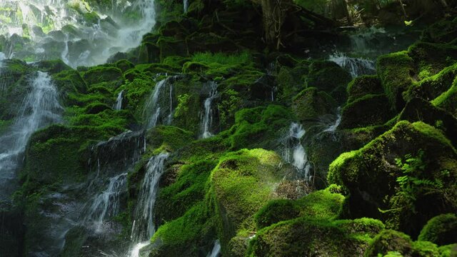 Oregon waterfall cascades over mossy rocks, low angle