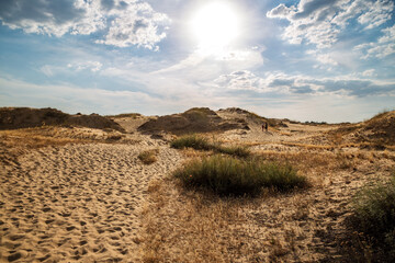 Beautiful desert landscape with dunes. Walk on a sunny day on the sands.