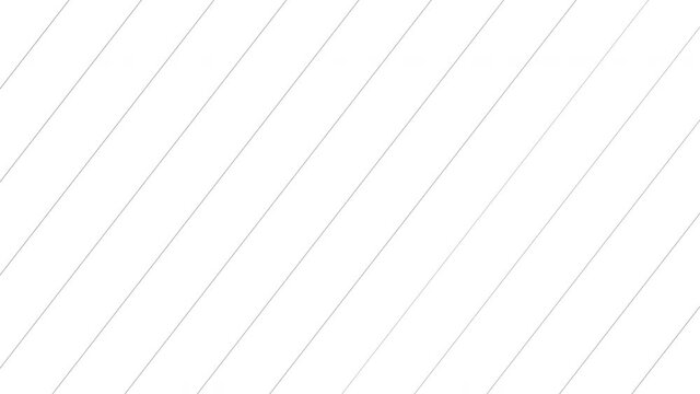 2D motion video transition with white and black line.