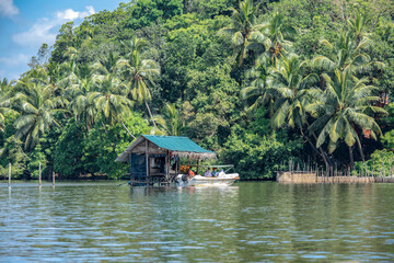 Fototapeta na wymiar Fruit shop on the Bentota Ganga river in the jungle on the island of Sri Lanka
