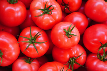 red tomato harvest. tomatoes close up