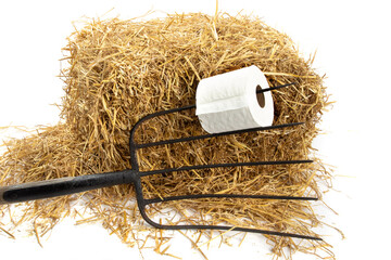 barn comfort, a roll of toilet paper on a pitch fork on a hay bale isolated on white