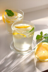 Lemon water with fresh lemons and green plants. Water balance in the body