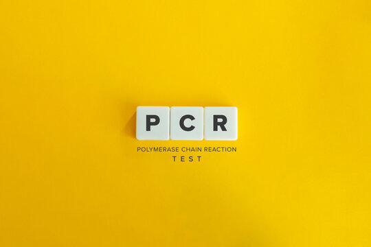 PCR Test Or Polymerase Chain Reaction Test Banner. Block Letters On Yellow Background. Minimal Aesthetics.