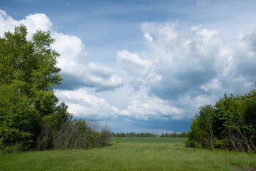 Beautiful storm clouds over a green field.