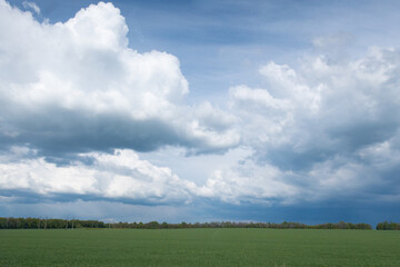 Beautiful storm clouds over a green field.