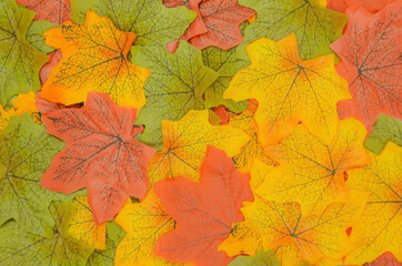 Bright solid autumn background of red, green and yellow leaves. View from above. Blurred background with artificial haze. Space for text.