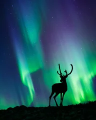 Fotobehang Rendieren staan in de heuvel, nachtelijke hemel met sterren en Aurora borealis op de achtergrond. © ekim