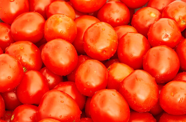 red tomatoes as a background for artists