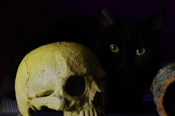 A human skull and a black cat with yellow eyes in the background. Halloween