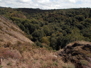 Fototapeta na wymiar The forest of Paimpont, considered to be the mythical forest of Brocéliande. View from a hill.