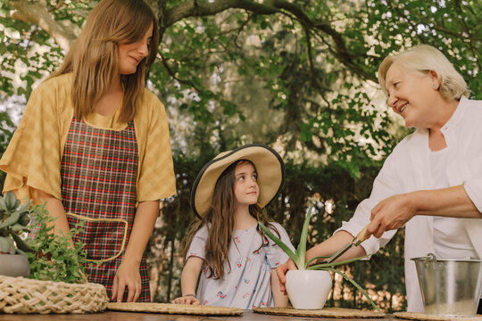 Multi-generation family gardening on table in yard