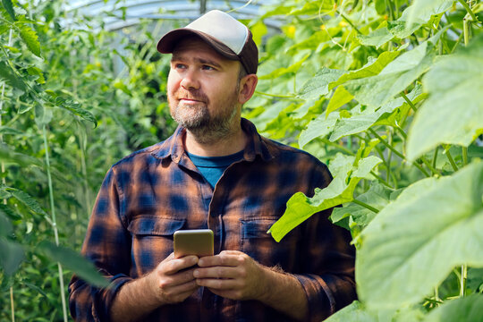 Portrait of a farmer with mobile phone in a greenhouse