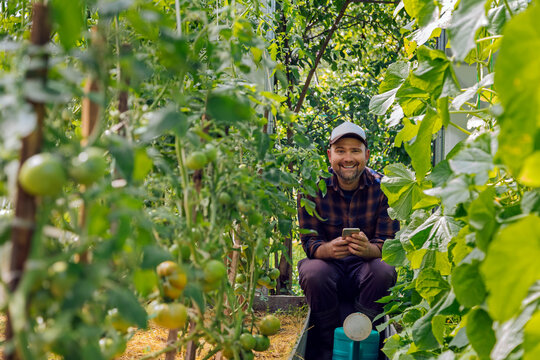 Portrait of smiling farmer with mobile phone and watering can in greenhouse with tomato plants
