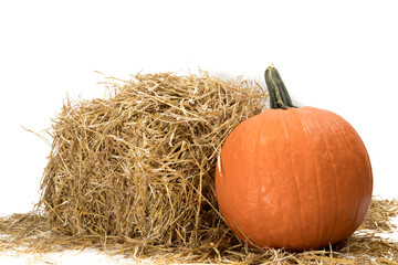 a large pumpkin rests beside  a straw bale in a farm to be sold for Halloween isolated on white