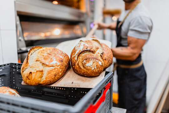 Baker with baked bread on wooden sheet at bakery