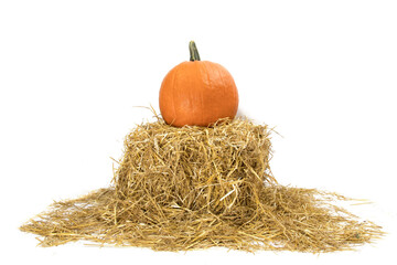 a large pumpkin rests on a straw bale in a farm to be sold for Halloween isolated on white