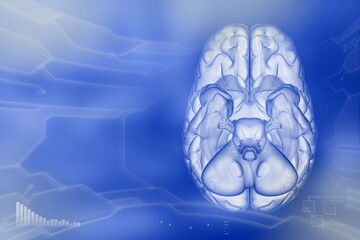 Medical 3D illustration - human brain, wisdom study concept - highly detailed modern background or texture