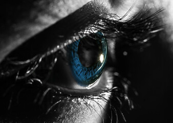 macro photo of close up shot of blue eye. black and white selective coloration