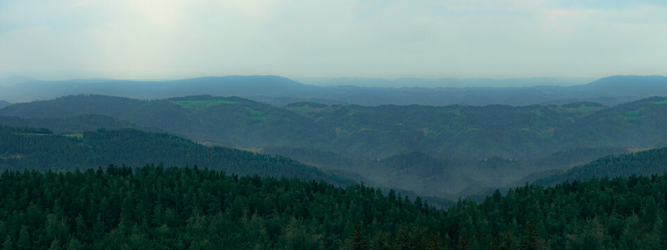 Panorama von Nebel Landschaft im Schwarzwald - Wald Banner Hintergrund , d&uuml;ster / mythisch