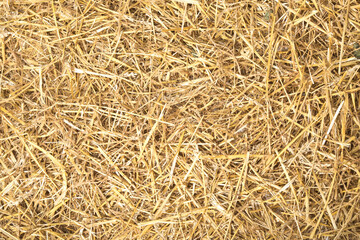 Background texture of a bed of farm hay and straw