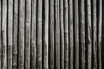Wooden wall made from big natural logs.