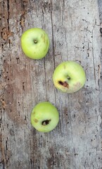 Three green apples on a wooden background. The tree is damaged by termites. Space for text.