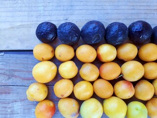Blue and yellow plums laid out in a row on the background of a wooden table.