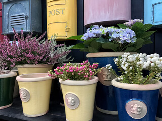 colorful flower pots with blooming Heather and hydrangea and vintage mailboxes