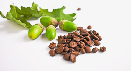 Green acorns and coffee beans on white background. Acorn coffee, homemade healthy drink. Roasted coffee beans. Health concept.