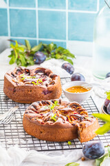 close-up view of delicious sweet fruit pies with organic plums