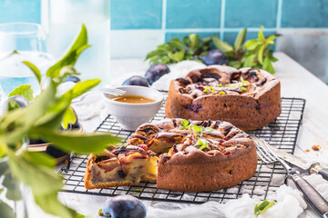 close-up view of delicious sweet fruit pies with organic plums
