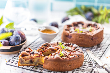close-up view of delicious sweet fruit pies with organic plums