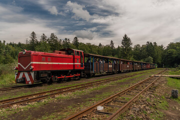 Narrow gauge railway in Balnica station in Poland mountains in summer evening - obrazy, fototapety, plakaty