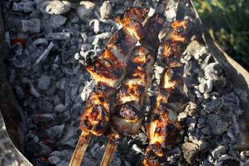 Shish kebab with meat. On a metal grill with coals. Taken in close-up.