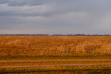 Cloudy dramatic sky over the autumn steppe. Bright dry field herbs.