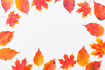 Flat lay frame with colorful autumn leaves on a white background