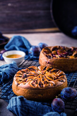 close-up view of delicious sweet fruit pies with organic plums