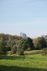Fototapeta na wymiar City Park. Houses under construction and tower cranes are visible on the horizon.