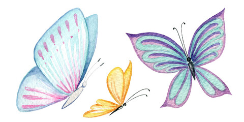 Watercolor hand painted butterflies set
