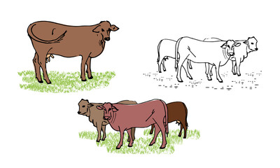 Herd of cows, cow, set of vector illustrations of farm animals, isolated on a white background.