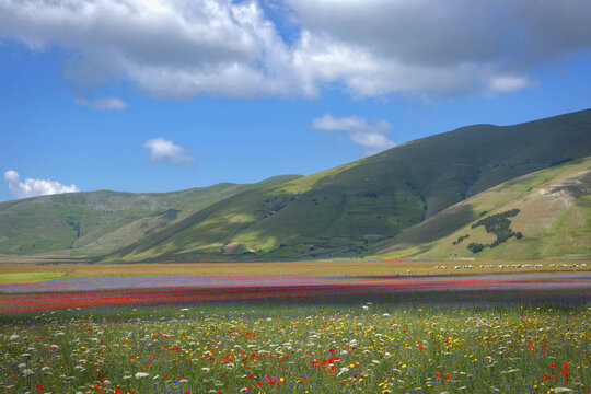 Castelluccio of norcia