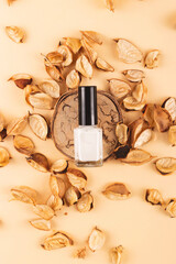 Light nude shade of nail polish on a wooden frame among natural dry decorations. Top view, flat lay