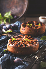 close-up view of delicious sweet fruit pies with organic plums